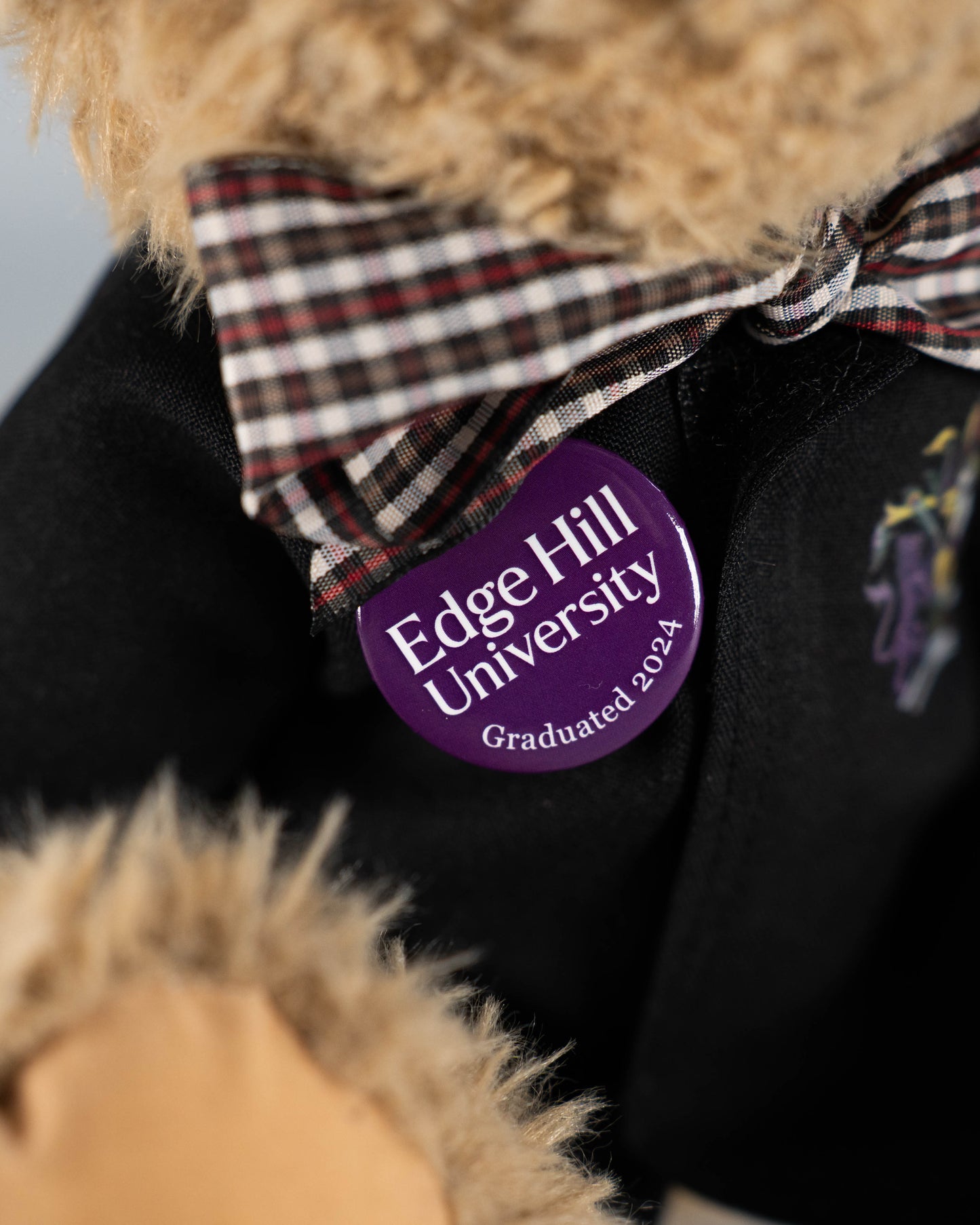 *Pre-Order Only* Graduation Teddy