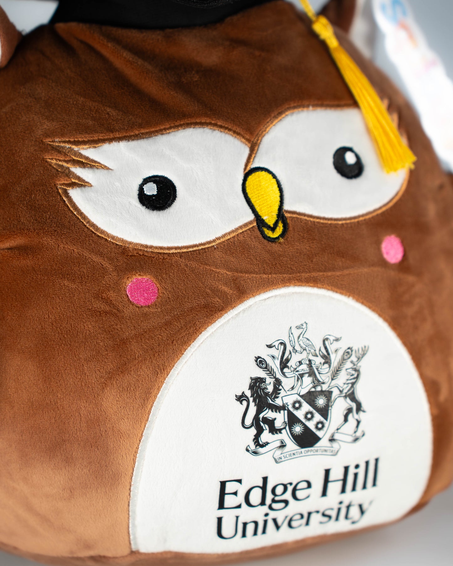 *Pre-Order Only* Squidgy Graduation Owl
