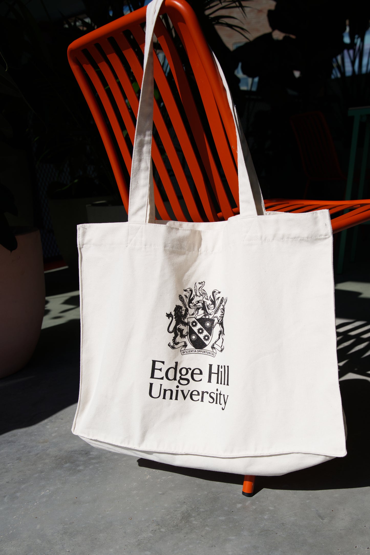 Edge Hill University Bag