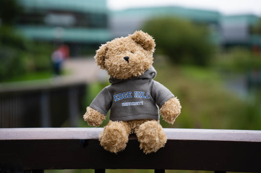 Edge Hill Teddy Bear