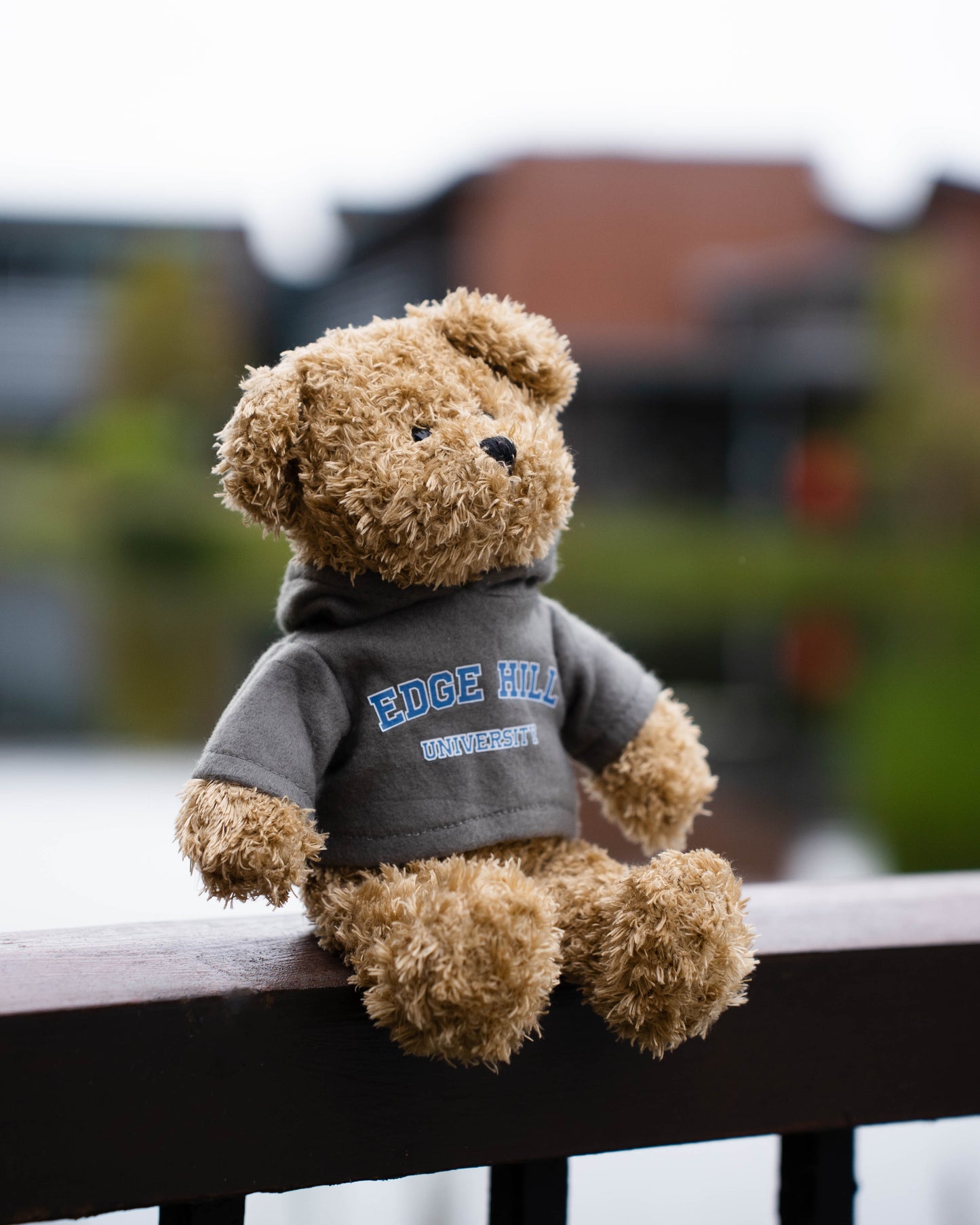 Edge Hill Teddy Bear