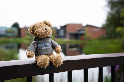 Edge Hill Teddy Bear