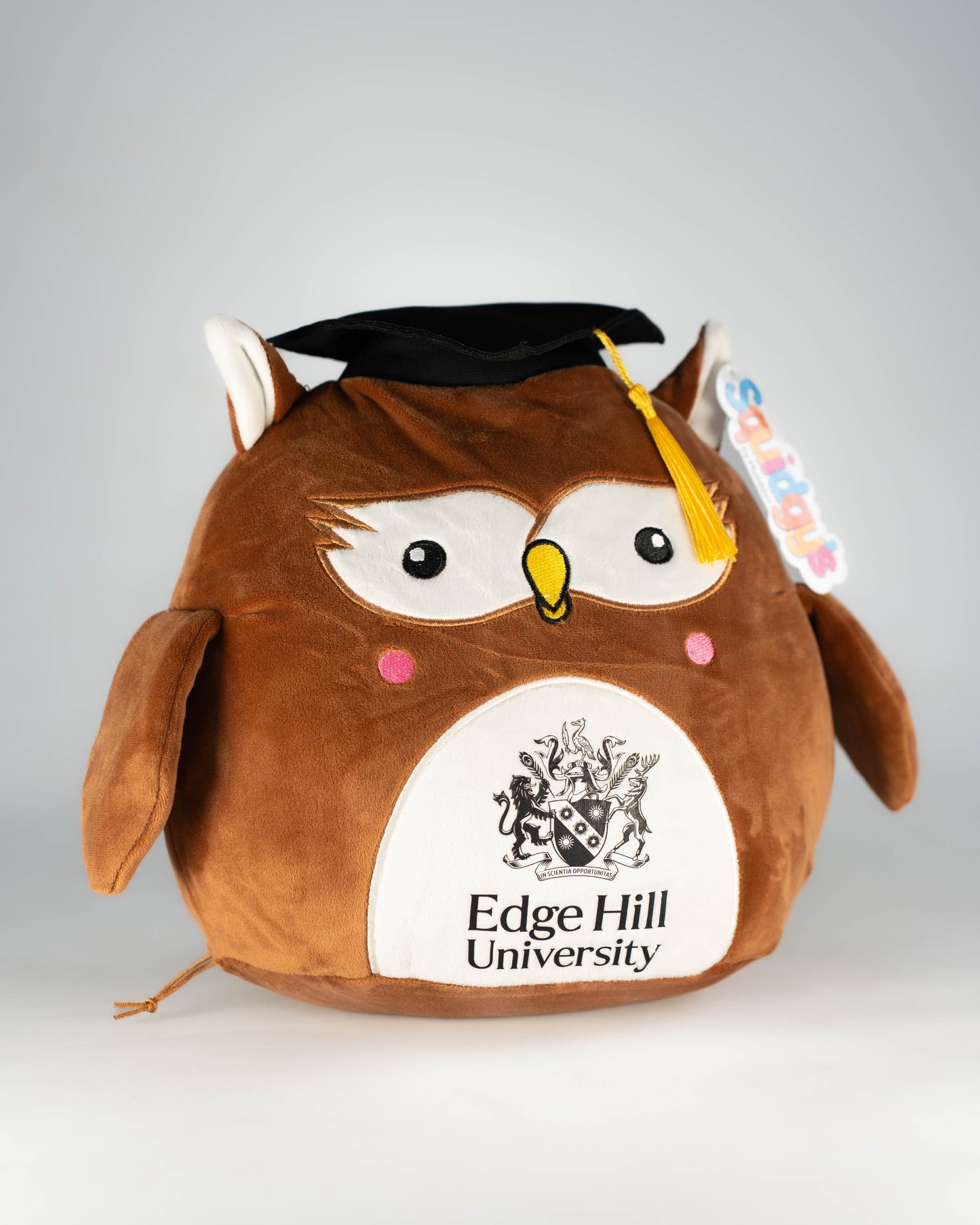 Squidgy Graduation Owl